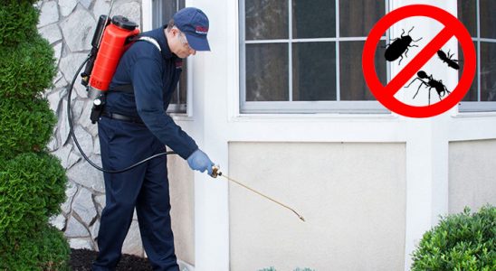 Yenifoça Fare İlaçlama böcek ilaçlama ve haşere kontrolü — ilaclama-tr.com